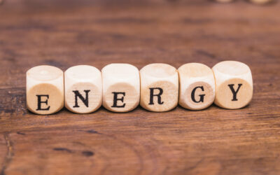 FACTORES QUE INFLUYEN EN EL GASTO ENERGÉTICO